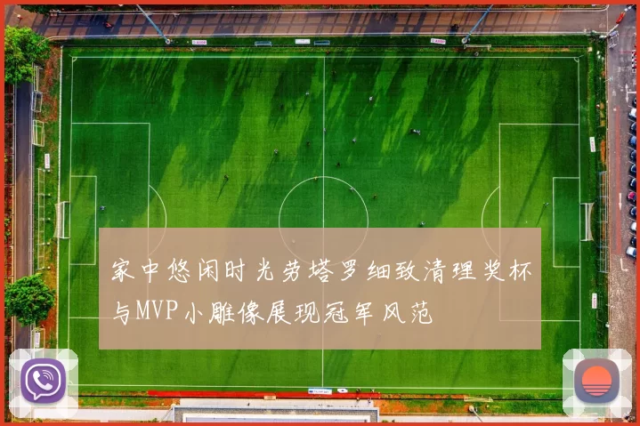 家中悠闲时光劳塔罗细致清理奖杯与MVP小雕像展现冠军风范