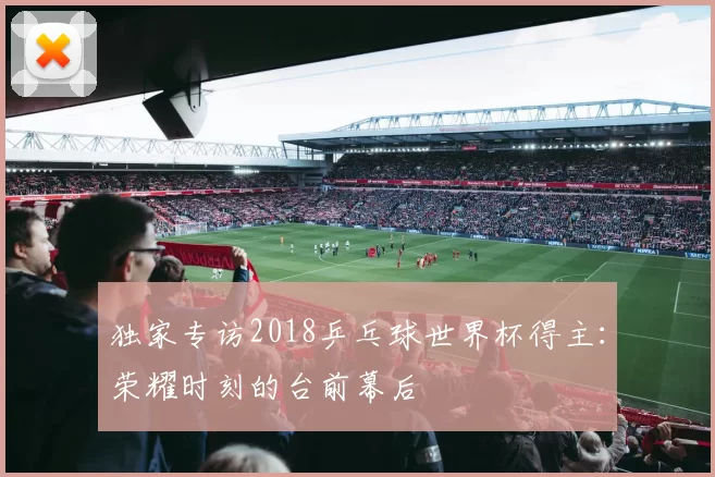 独家专访2018乒乓球世界杯得主：荣耀时刻的台前幕后