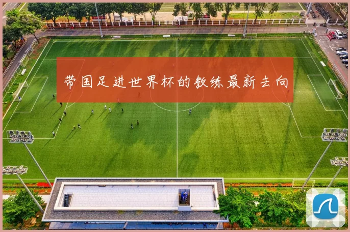 带国足进世界杯的教练最新去向