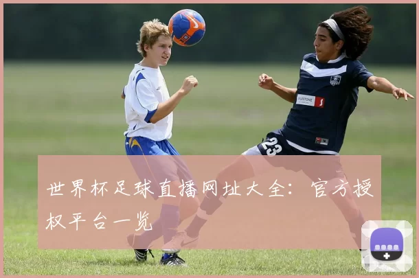 世界杯足球直播网址大全：官方授权平台一览