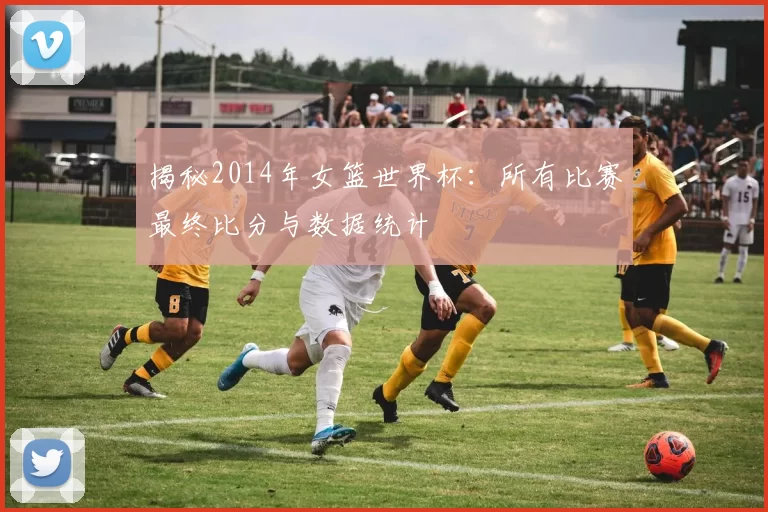 揭秘2014年女篮世界杯:所有比赛最终比分与数据统计