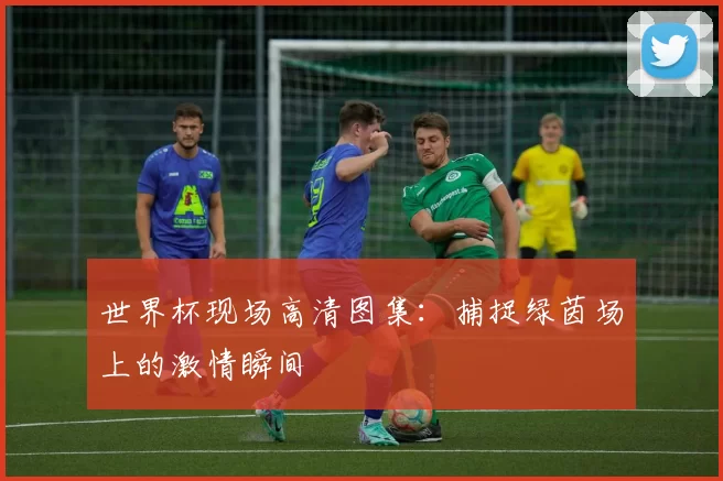 世界杯现场高清图集:捕捉绿茵场上的激情瞬间
