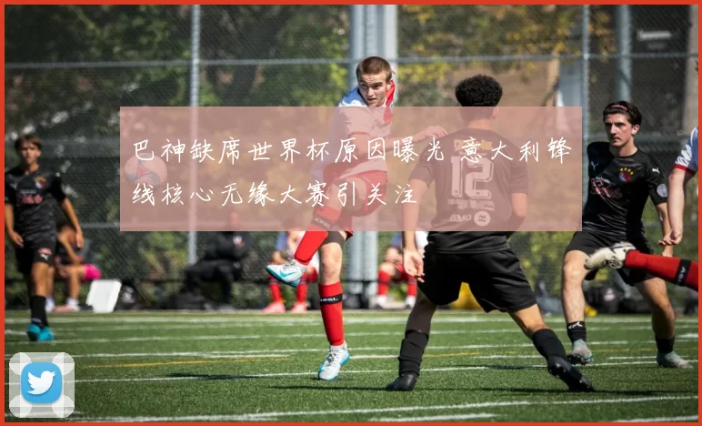 巴神缺席世界杯原因曝光 意大利锋线核心无缘大赛引关注