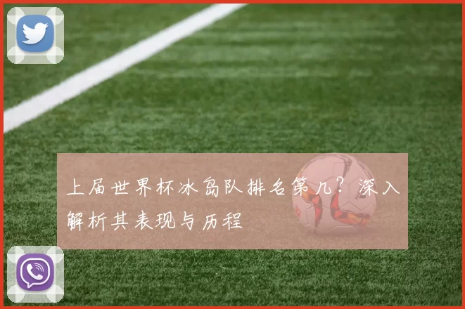 上届世界杯冰岛队排名第几？深入解析其表现与历程