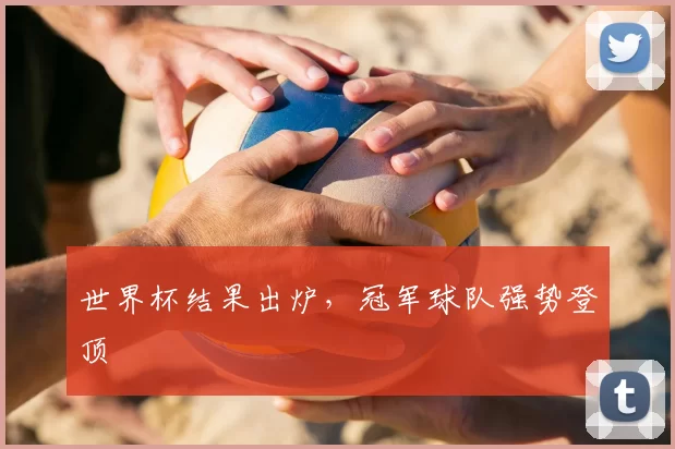 世界杯结果出炉,冠军球队强势登顶