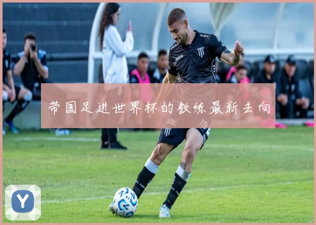 带国足进世界杯的教练最新去向
