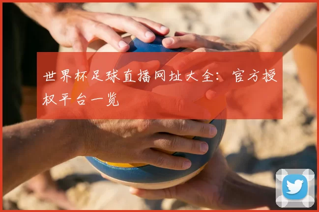 世界杯足球直播网址大全：官方授权平台一览