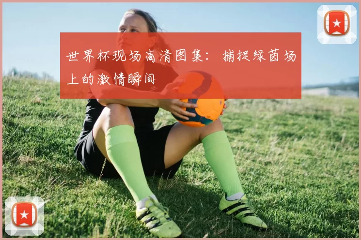 世界杯现场高清图集:捕捉绿茵场上的激情瞬间